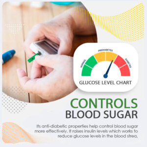 AEXZR™ Blood Sugar Health & Wellness Series