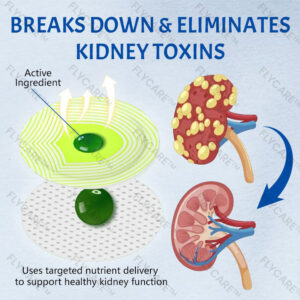 FLYCARE™ NephroFlex Kidney Boost Patch