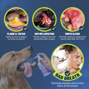 Hudros™ Teeth Cleaning Spray for Dogs & Cats