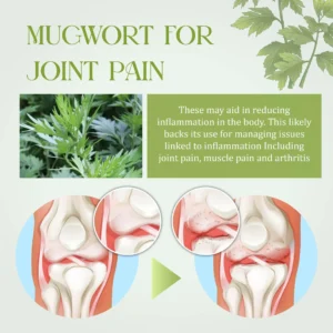 HZA™ GentleCare Mugwort JointEase Cream