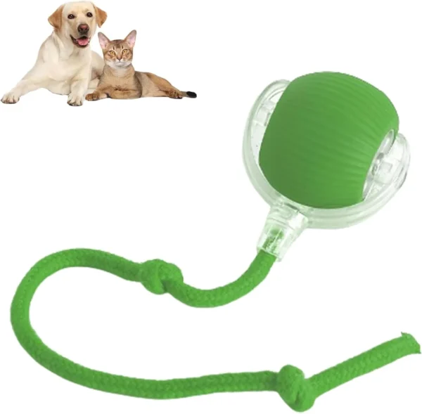 SEURICO™ Intelligent Automatic Rolling Pet Ball